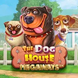 The Dog House Megaways game at Playfina Casino for Australian players