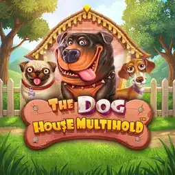 The Dog House Multihold game at Playfina Casino for Australian players